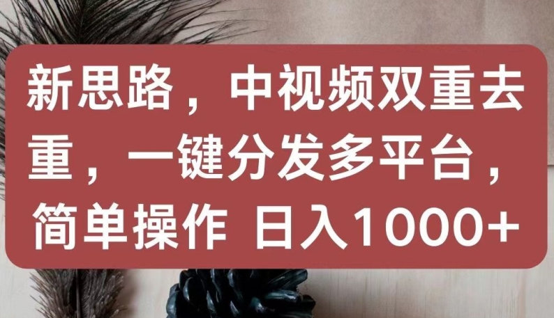 新思路，中视频双重去重，一键分发多平台，简单操作，日入1000+-搞钱专业户