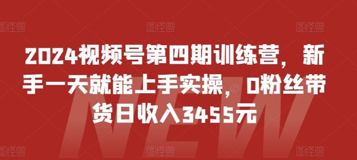 2024视频号第四期训练营，新手一天就能上手实操，0粉丝带货日收入3455元-搞钱专业户