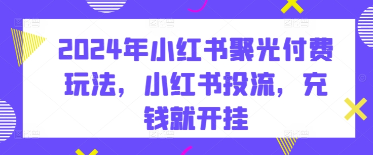 2024年小红书聚光付费玩法，小红书投流，充钱就开挂-搞钱专业户