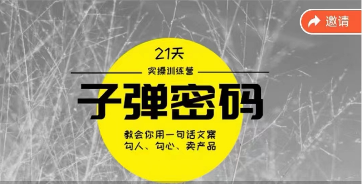 《子弹密码训练营》用一句话文案勾人勾心卖产品，21天学到顶尖文案大师策略和技巧-搞钱专业户