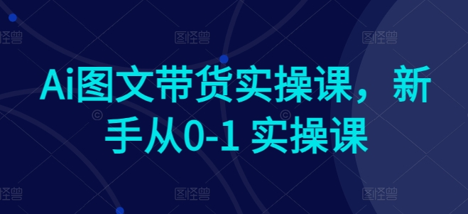 Ai图文带货实操课，新手从0-1 实操课-搞钱专业户