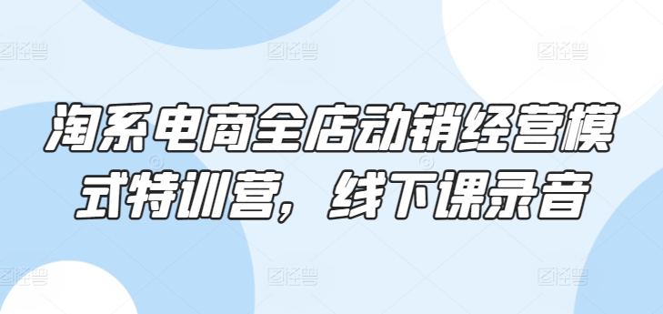 淘系电商全店动销经营模式特训营，线下课录音-搞钱专业户