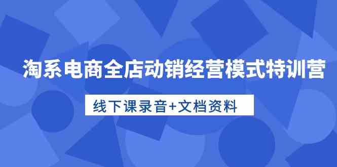 （10192期）淘系电商全店动销经营模式特训营，线下课录音+文档资料-搞钱专业户