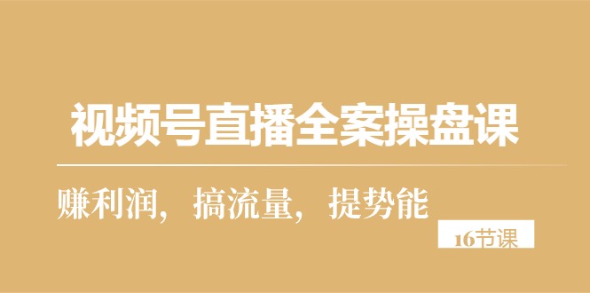 （10207期）视频号直播全案操盘课，赚利润，搞流量，提势能（16节课）-搞钱专业户