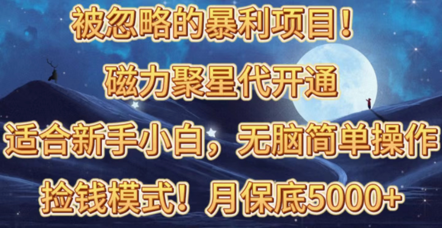 （10245期）被忽略的暴利项目！磁力聚星代开通捡钱模式，轻松月入五六千-搞钱专业户
