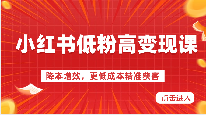 小红书低粉高变现课-降本增效，更低成本精准获客，小红书必爆的流量密码-搞钱专业户