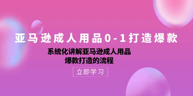 （10493期）亚马逊成人用品0-1打造爆款：系统化讲解亚马逊成人用品爆款打造的流程-搞钱专业户