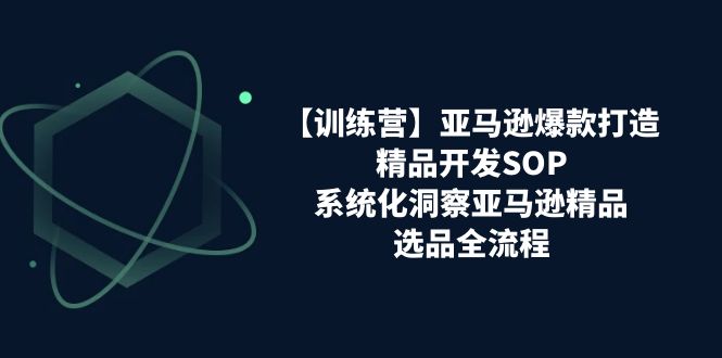 （11210期）【训练营】亚马逊爆款打造之精品开发SOP，系统化洞察亚马逊精品选品全流程-搞钱专业户