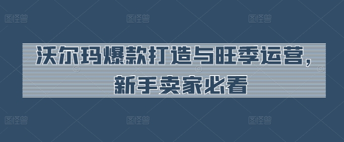 沃尔玛爆款打造与旺季运营，新手卖家必看-搞钱专业户