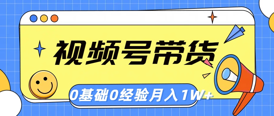 （10723期）视频号轻创业带货，零基础，零经验，月入1w+-搞钱专业户
