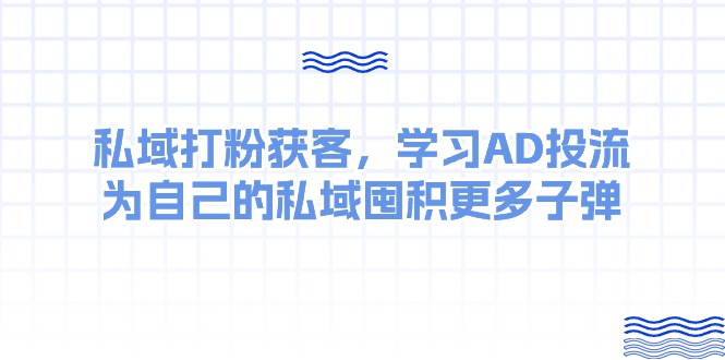 （10728期）某收费课：私域打粉获客，学习AD投流，为自己的私域囤积更多子弹-搞钱专业户
