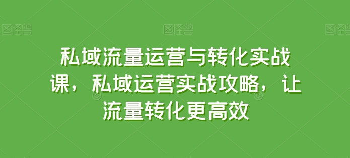 私域流量运营与转化实战课，私域运营实战攻略，让流量转化更高效-搞钱专业户