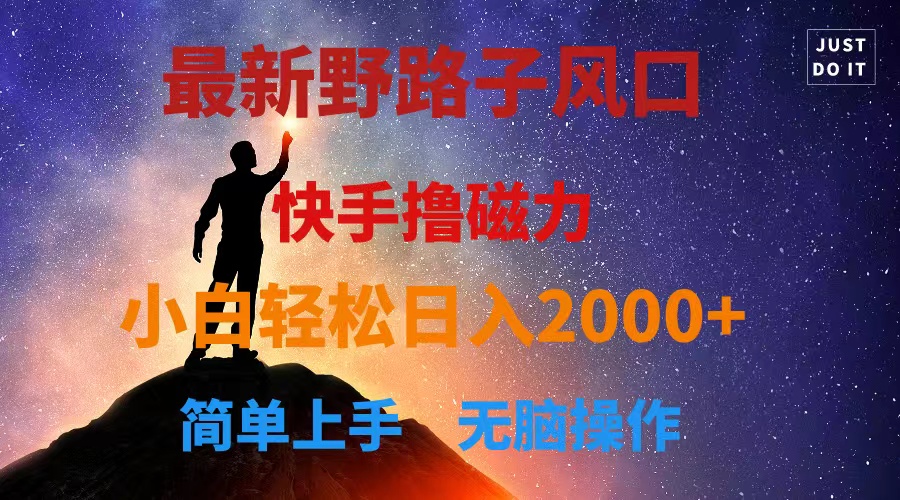 （10754期）最新风口！快手撸磁力，野路子，小白无脑操作日入2000+-搞钱专业户