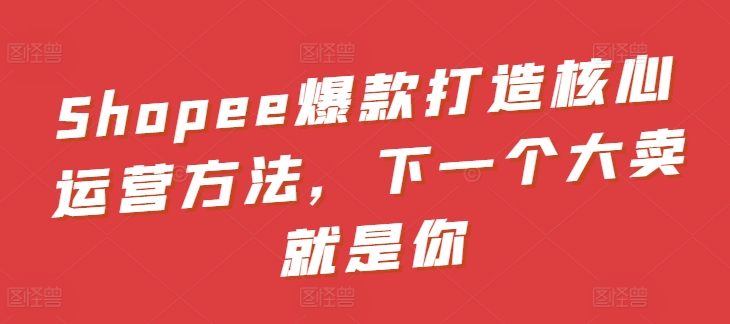 Shopee爆款打造核心运营方法，下一个大卖就是你-搞钱专业户