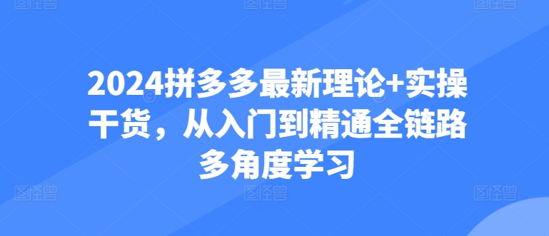 2024拼多多最新理论+实操干货，从入门到精通全链路多角度学习-搞钱专业户