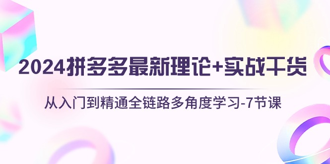 （10816期）2024拼多多 最新理论+实战干货，从入门到精通全链路多角度学习-7节课-搞钱专业户