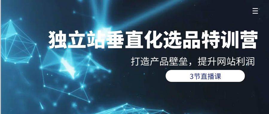 独立站-垂直化选品训练营，打造产品壁垒，提升网站利润（3节直播课）-搞钱专业户