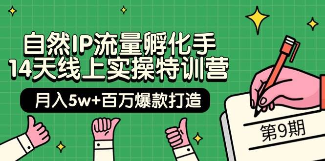 自然IP流量孵化手 14天线上实操特训营【第9期】月入5w+百万爆款打造 (74节)-搞钱专业户