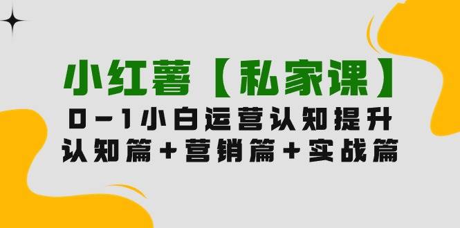 小红薯【私家课】0-1玩赚小红书内容营销，认知篇+营销篇+实战篇（11节课）-搞钱专业户