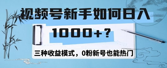 视频号新手如何日入1k？三种收益模式，0粉新号也能热门-搞钱专业户