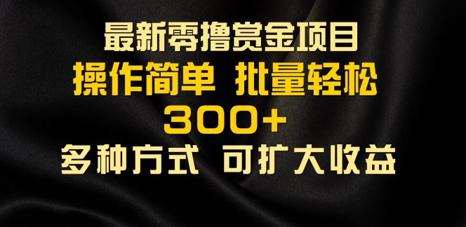 2024最新零撸赏金项目，无需养机，直接上手操作 ，单机收益30+，适合批量放大-搞钱专业户