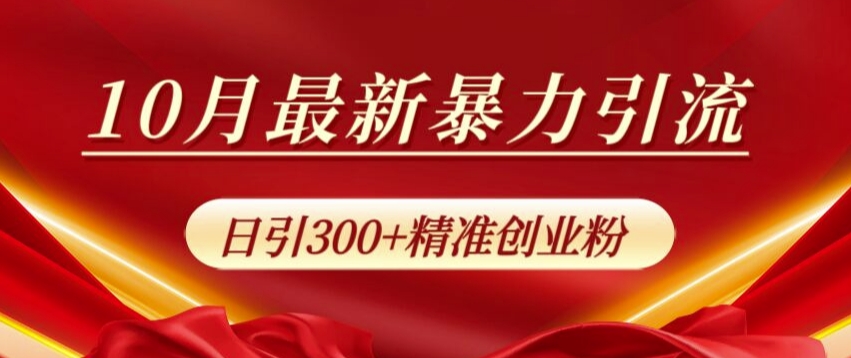 10月最新暴力引流，私域完美闭环，日引300+精准创业粉【揭秘】-搞钱专业户