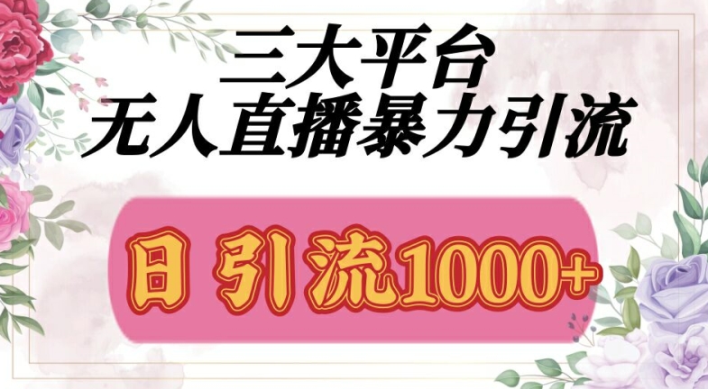 三大平台无人直播引流，吸引精准创业粉-搞钱专业户
