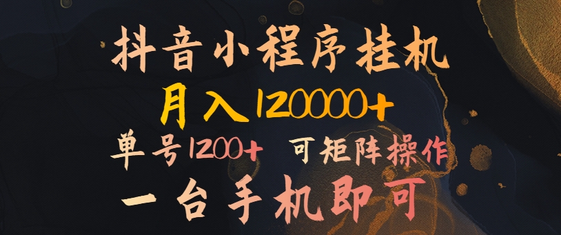 抖音小程序挂机风口项目，月入1.2w，一台手机即可操作，可矩阵操作-搞钱专业户
