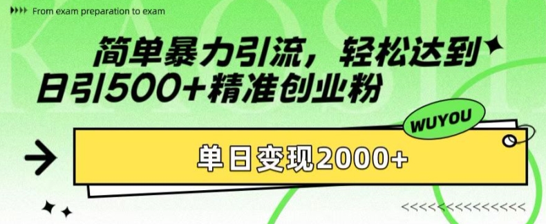简单暴力引流，轻松达到日引500+精准创业粉，单日变现2k【揭秘】-搞钱专业户