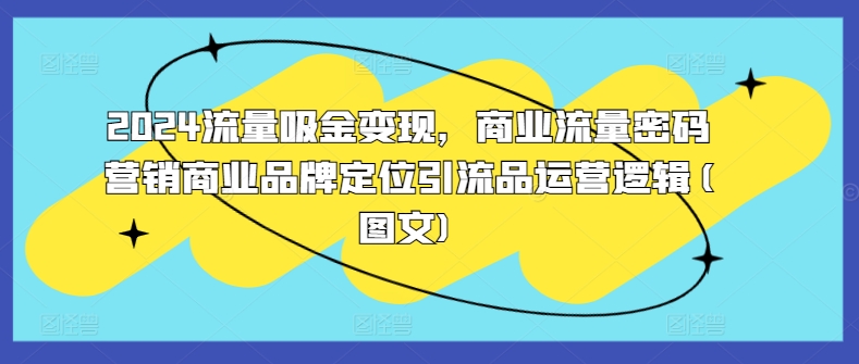 2024流量吸金变现，商业流量密码营销商业品牌定位引流品运营逻辑(图文)-搞钱专业户