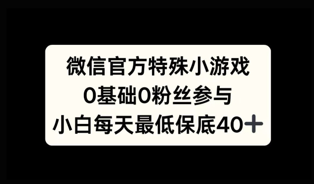 微信官方特定小游戏，0基础0粉丝，小白上手每天最少保底40+-搞钱专业户
