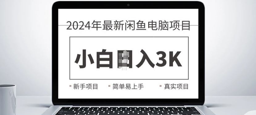 2024最新闲鱼电脑项目，动手就能吃肉的好项目-搞钱专业户