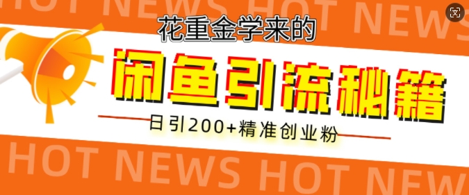 花重金学来的闲鱼到流秘籍，日引200+精准创业粉-搞钱专业户