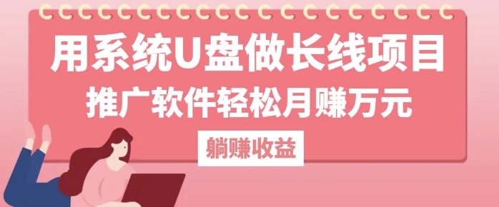 用系统U盘做长线项目，推广软件轻松月入过W-搞钱专业户