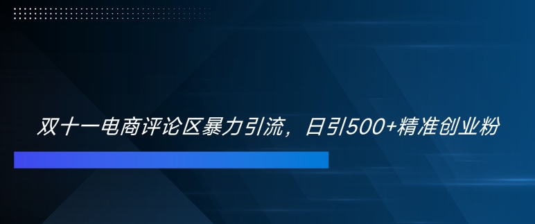 双十一电商评论区暴力引流，日引500+精准创业粉【揭秘】-搞钱专业户