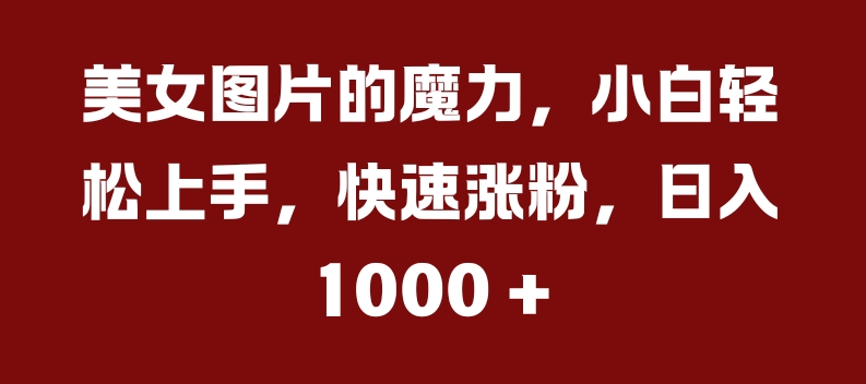 美女图片的魔力，小白轻松上手，快速涨粉，日入几张【揭秘】-搞钱专业户