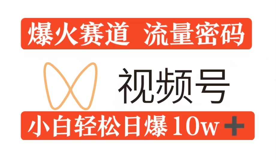 0粉在视频号爆火赛道流量密码，模式全方位，小白轻松日爆10w+流量-搞钱专业户