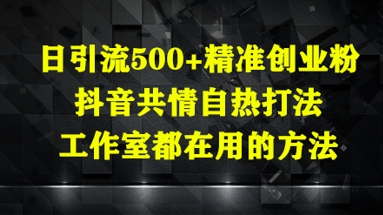 日引流500+精准创业粉，抖音共情自热打法，工作室都在用的方法-搞钱专业户