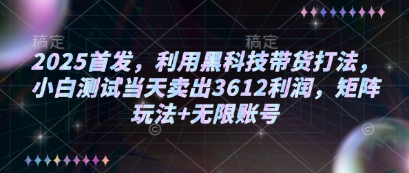 2025首发，利用黑科技带货打法，小白测试当天卖出3612利润，矩阵玩法+无限账号【揭秘】-搞钱专业户