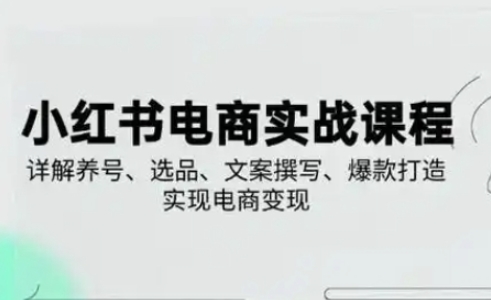 小红书从0-1实操课(2023-2025),详解养号、选品、文案撰写、爆款打造实现电商变现-资源分享吧