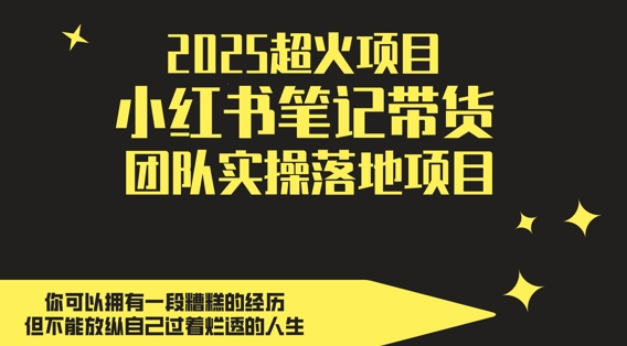 2025超火项目，副业最佳选择，小红书笔记带货团队实操落地项目，，轻松日入5张-搞钱专业户