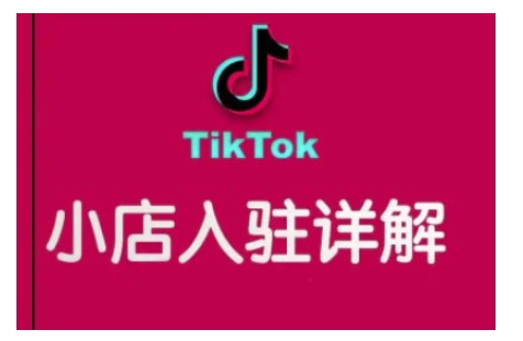 TikTok跨境小店运营全攻略，帮助你独立运营TK跨境小店的能力，实现销量增长-搞钱专业户