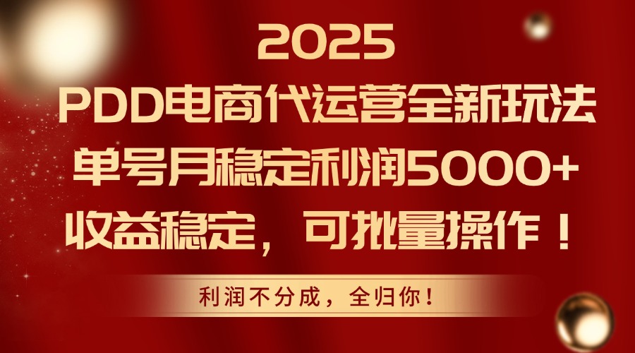 （14839期）2025PDD电商代运营全新玩法，单号月稳定利润5000+，收益稳定，可批量操作-搞钱专业户
