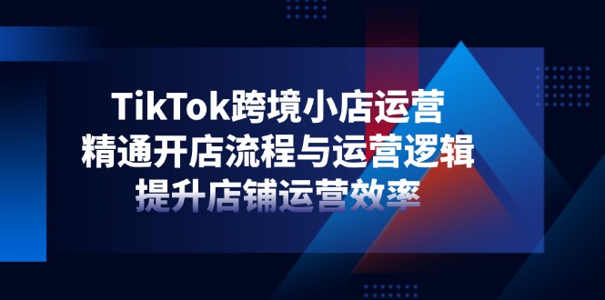 （14369期）TikTok跨境小店运营，精通开店流程与运营逻辑，提升店铺运营效率-搞钱专业户