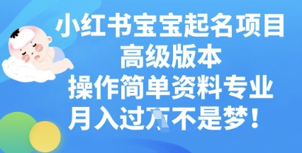 小红书宝宝起名项目高级版本，操作简单，资料专业，月入过W-资源分享吧