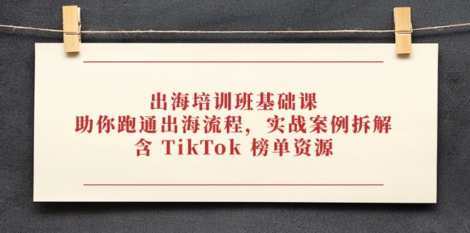 （14555期）出海培训班基础课，助你跑通出海流程，实战案例拆解，含 TikTok 榜单资源-搞钱专业户