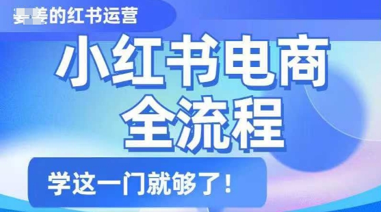 小红书电商全流程，精简易懂，从入门到精通，学这一门就够了-搞钱专业户
