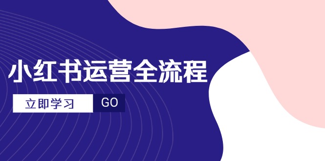 （14861期）小红书运营全流程，爆款选题文案，视频制作技巧，进阶达人宝典-搞钱专业户