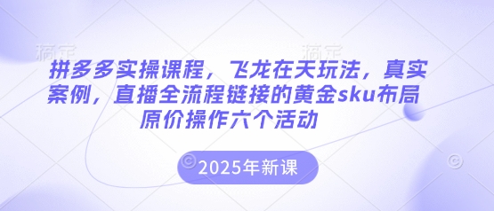 拼多多实操课程，飞龙在天玩法，真实案例，直播全流程链接的黄金sku布局原价操作六个活动-资源分享吧