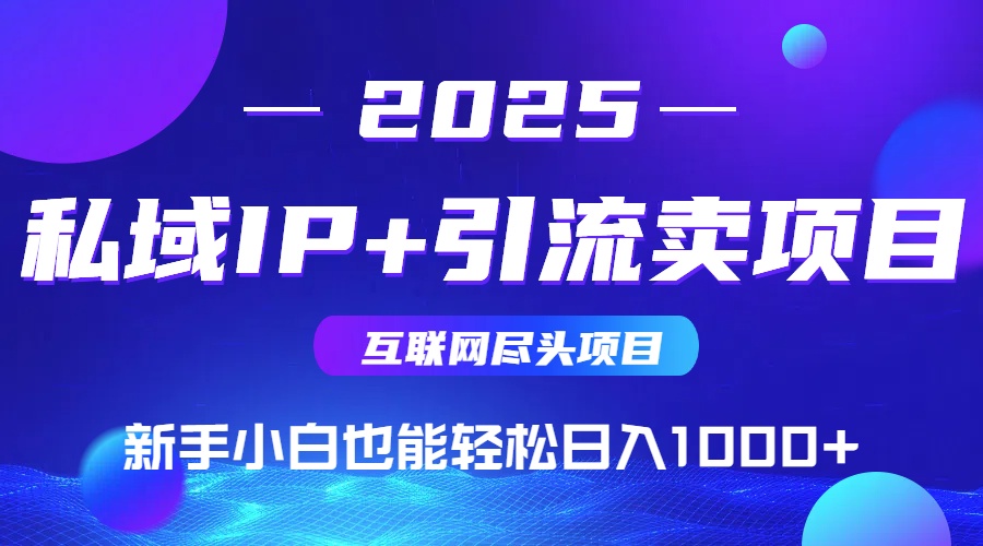 （14613期）私域IP+卖项目，普通人小白也能轻松实现日入1000+-搞钱专业户